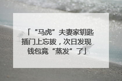 “马虎”夫妻家钥匙插门上忘拔，次日发现钱包竟“蒸发”了