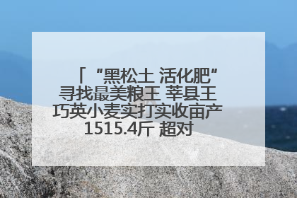 “黑松土 活化肥”寻找最美粮王 莘县王巧英小麦实打实收亩产1515.4斤 超对照田144斤！