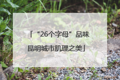 “26个字母”品味昆明城市肌理之美