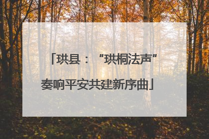珙县：“珙桐法声”奏响平安共建新序曲