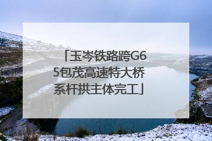 玉岑铁路跨G65包茂高速特大桥系杆拱主体完工