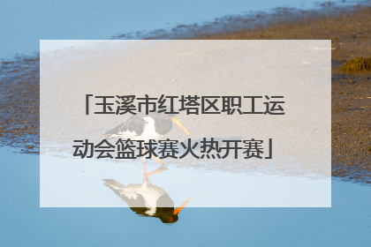 玉溪市红塔区职工运动会篮球赛火热开赛