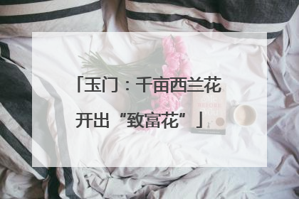 玉门：千亩西兰花开出“致富花”