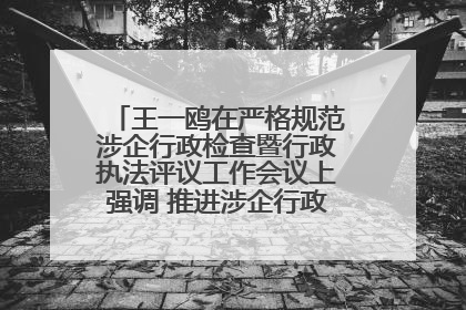王一鸥在严格规范涉企行政检查暨行政执法评议工作会议上强调 推进涉企行政检查质效大幅提升