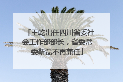 王乾出任四川省委社会工作部部长，省委常委靳磊不再兼任