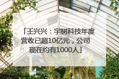 王兴兴：宇树科技年度营收已超10亿元，公司现在约有1000人