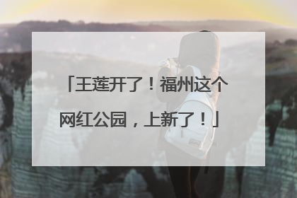 王莲开了！福州这个网红公园，上新了！