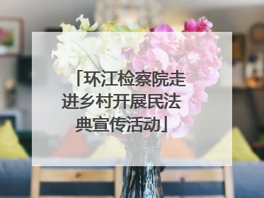 环江检察院走进乡村开展民法典宣传活动