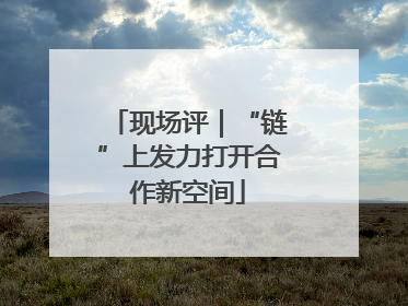 现场评｜“链”上发力打开合作新空间