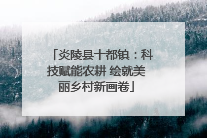 炎陵县十都镇：科技赋能农耕 绘就美丽乡村新画卷