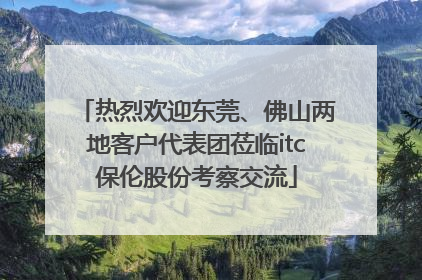 热烈欢迎东莞、佛山两地客户代表团莅临itc保伦股份考察交流
