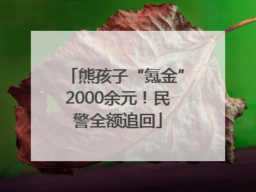 熊孩子“氪金”2000余元！民警全额追回