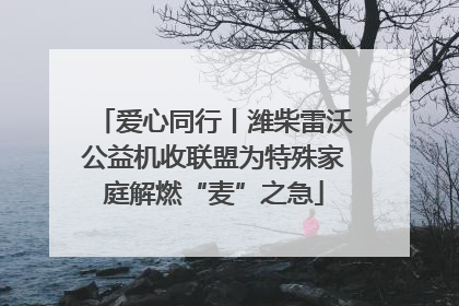 爱心同行丨潍柴雷沃公益机收联盟为特殊家庭解燃“麦”之急