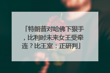 特朗普对哈佛下狠手，比利时未来女王受牵连？比王室：正研判