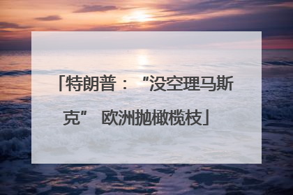 特朗普：“没空理马斯克” 欧洲抛橄榄枝