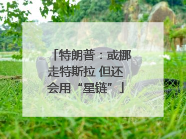 特朗普：或挪走特斯拉 但还会用“星链”