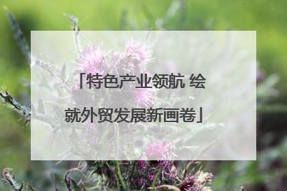特色产业领航 绘就外贸发展新画卷