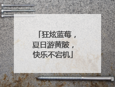狂炫蓝莓，夏日游黄陂，快乐不宕机