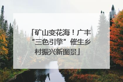 矿山变花海！广丰“三色引擎”催生乡村振兴新图景