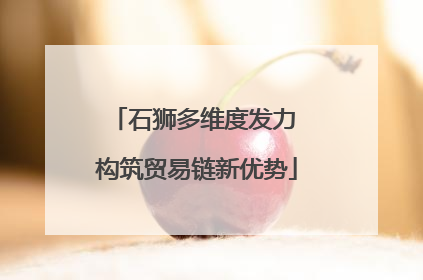 石狮多维度发力 构筑贸易链新优势