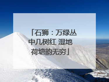 石狮：万绿丛中几树红 湿地荷塘韵无穷