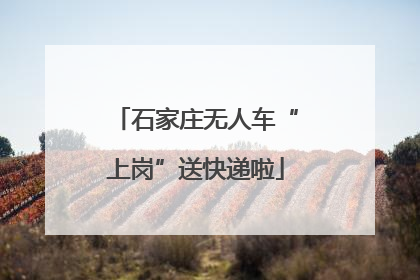 石家庄无人车“上岗”送快递啦