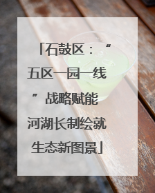 石鼓区：“五区一园一线”战略赋能 河湖长制绘就生态新图景