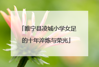 睢宁县凌城小学女足的十年淬炼与荣光