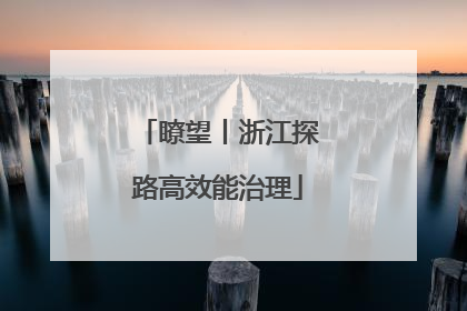 瞭望丨浙江探路高效能治理