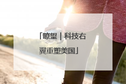 瞭望｜科技右翼重塑美国