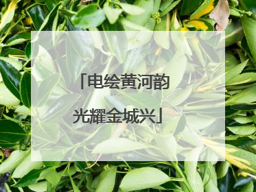 电绘黄河韵 光耀金城兴