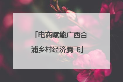 电商赋能广西合浦乡村经济腾飞