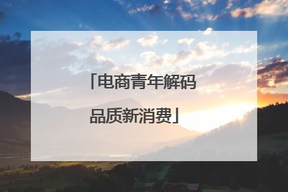 电商青年解码品质新消费