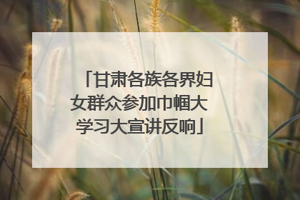 甘肃各族各界妇女群众参加巾帼大学习大宣讲反响