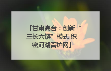 甘肃高台：创新“三长六链”模式 织密河湖管护网