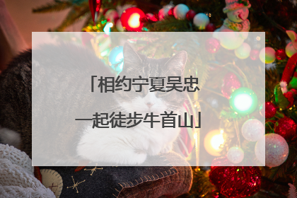 相约宁夏吴忠 一起徒步牛首山