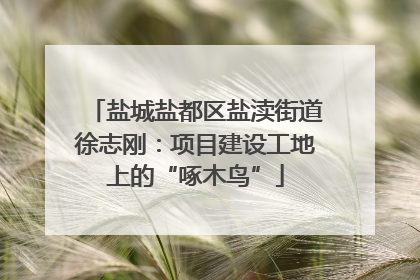 盐城盐都区盐渎街道徐志刚：项目建设工地上的“啄木鸟”