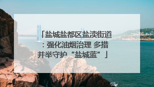 盐城盐都区盐渎街道：强化油烟治理 多措并举守护“盐城蓝”