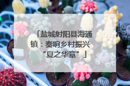 盐城射阳县海通镇：奏响乡村振兴“夏之华章”