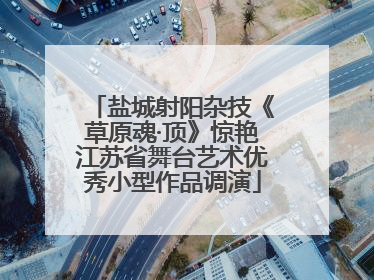 盐城射阳杂技《草原魂·顶》惊艳江苏省舞台艺术优秀小型作品调演