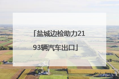 盐城边检助力2193辆汽车出口