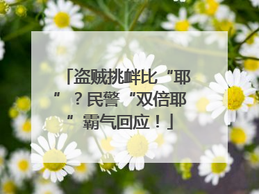 盗贼挑衅比“耶”？民警“双倍耶”霸气回应！