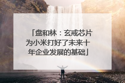 盘和林：玄戒芯片为小米打好了未来十年企业发展的基础