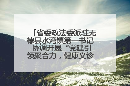 省委政法委派驻无棣县水湾镇第一书记 协调开展“党建引领聚合力，健康义诊惠乡亲”义诊活动