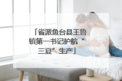 省派鱼台县王鲁镇第一书记护航“三夏”生产