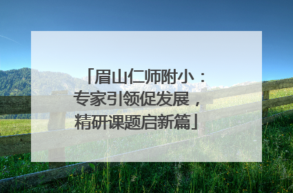 眉山仁师附小：专家引领促发展，精研课题启新篇