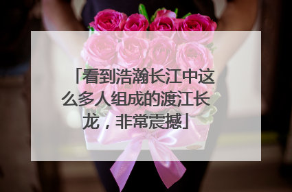 看到浩瀚长江中这么多人组成的渡江长龙，非常震撼