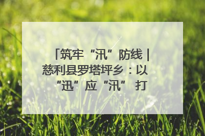 筑牢“汛”防线｜慈利县罗塔坪乡：以“迅”应“汛” 打赢暴雨防御战