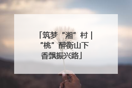 筑梦“湘”村｜“桃”醉衡山下 香飘振兴路