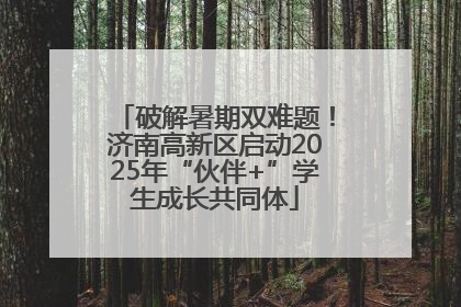 破解暑期双难题！济南高新区启动2025年“伙伴+”学生成长共同体